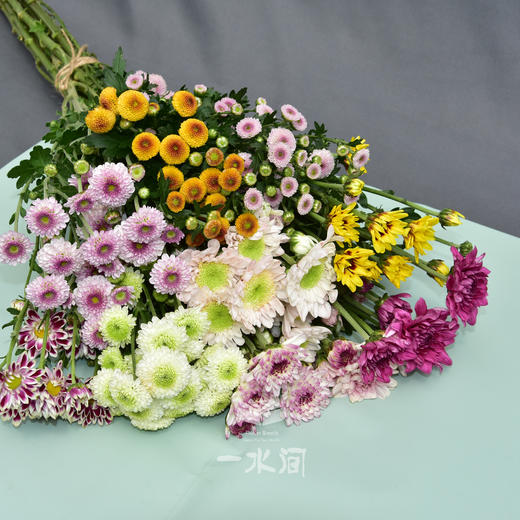 限时特惠——10枝小雏菊混搭