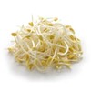 黄豆芽500g 商品缩略图0