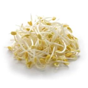 黄豆芽500g