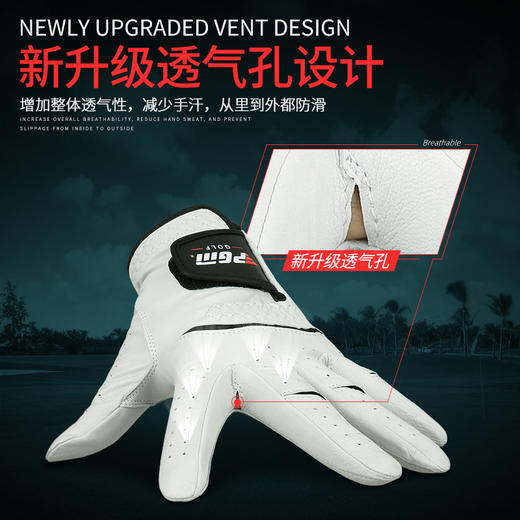 PGM 2020新品 高尔夫手套 男士真皮手套 进口小羊皮 左右手 单只 商品图3