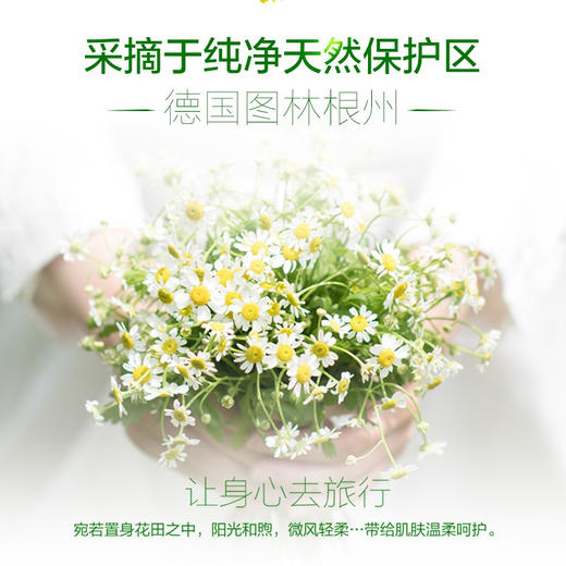 德国贺本清小洋甘菊润唇膏 商品图4