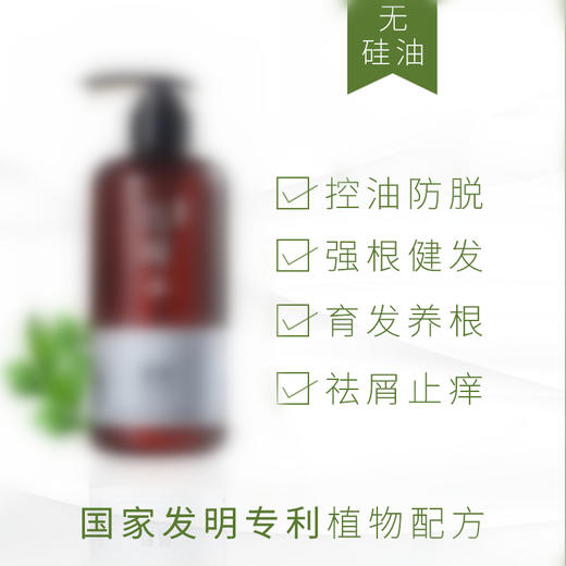 【自营】艾草精油 温和滋养洗发/沐浴液 商品图3