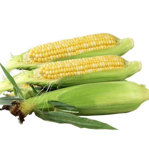 爆浆水果玉米3个（精选） 商品图0