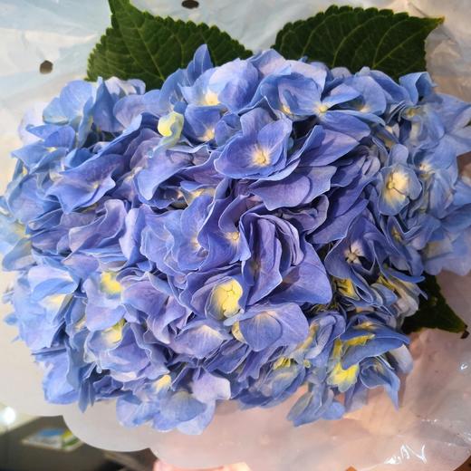 配花-绣球-深蓝-1枝/扎 商品图0