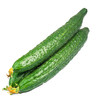 黄瓜1根 商品缩略图0