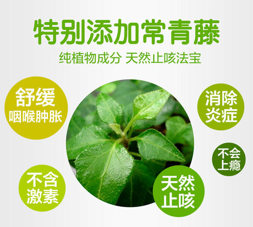 澳洲Sambucol黑接骨木儿童缓咳口服液120ml 澳洲直邮 商品图2