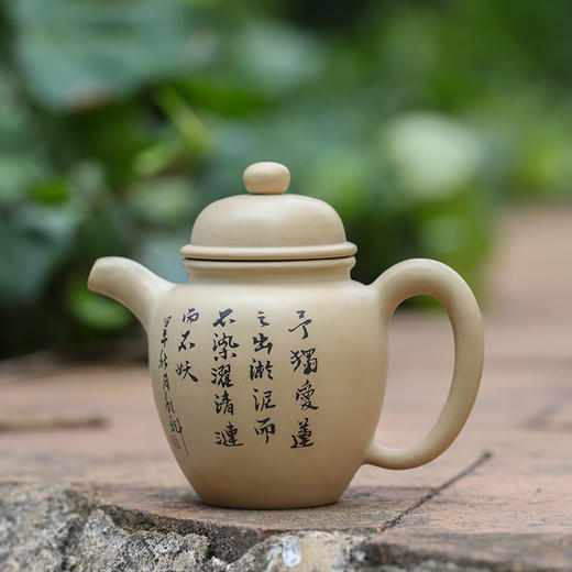 邹科  茶壶 商品图1