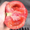 普罗旺斯西红柿   沙瓤多汁  酸甜浓郁   生吃赛水果   做菜茄味浓  4.5斤 商品缩略图4
