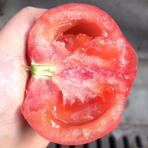 普罗旺斯西红柿   沙瓤多汁  酸甜浓郁   生吃赛水果   做菜茄味浓  4.5斤 商品图4