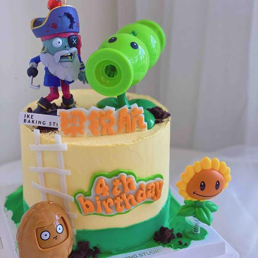 植物大战僵尸 商品图2