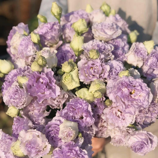 波浪桔梗/钢丝球 商品图1