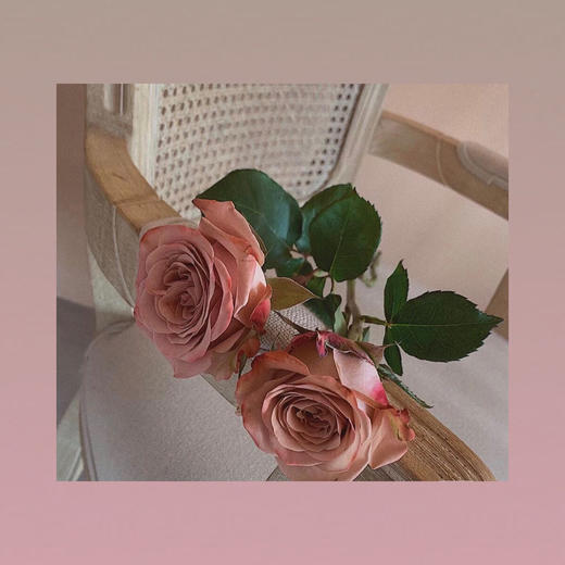 卡布奇诺玫瑰 商品图0