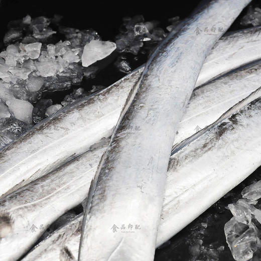 整条带鱼3738条7917斤