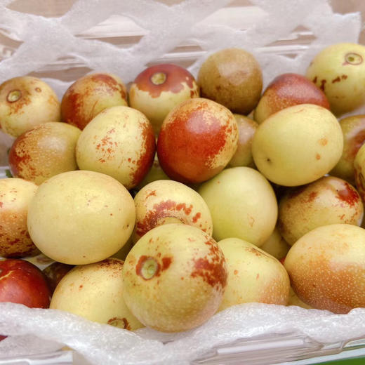 【预售】山西牛奶冬枣4斤礼盒装顺丰包邮【从陕西发货】