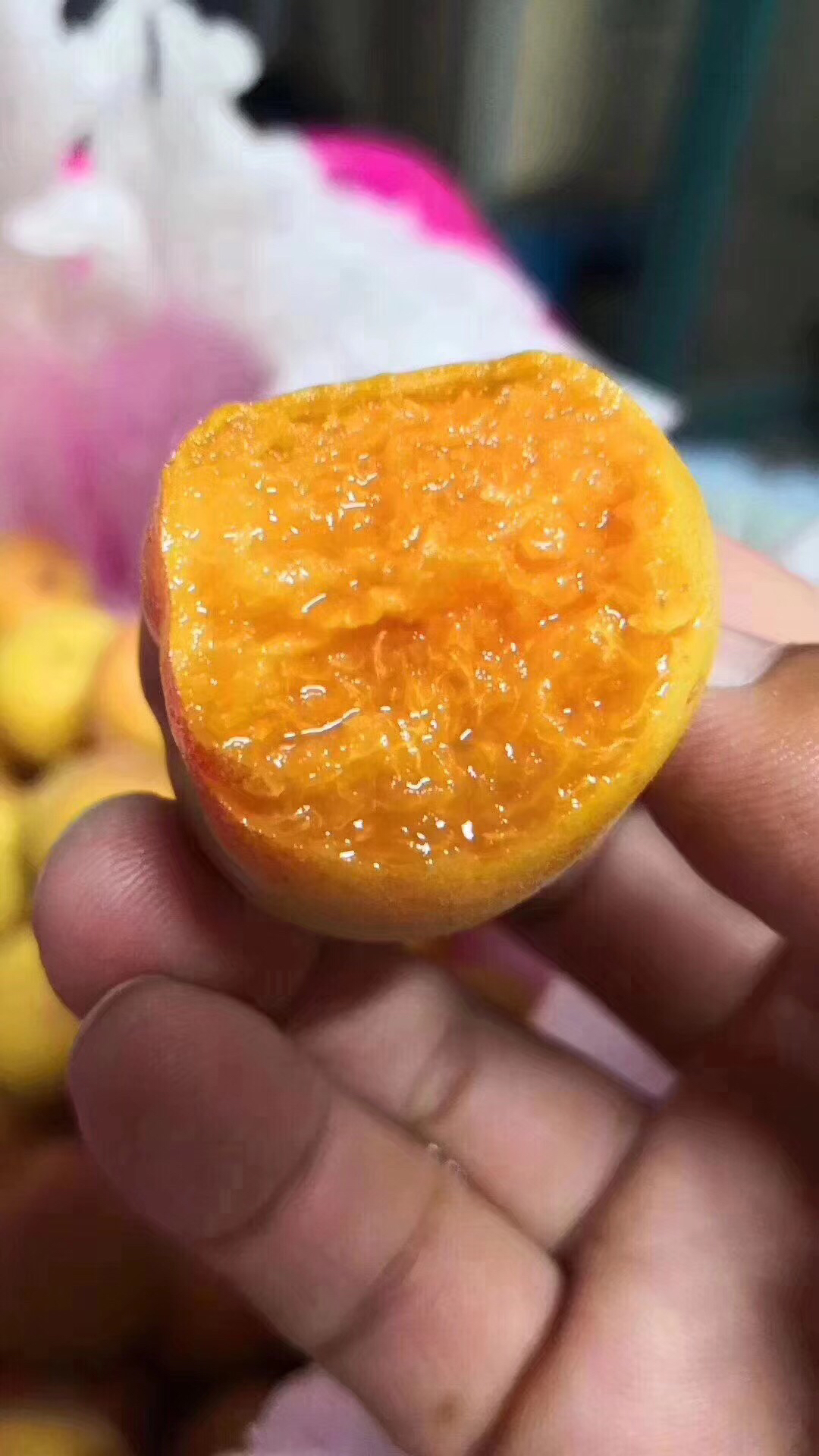 正宗新疆76黄金蜜杏一个杏子一包蜜色香味浓又甜蜜生长在天山脚下