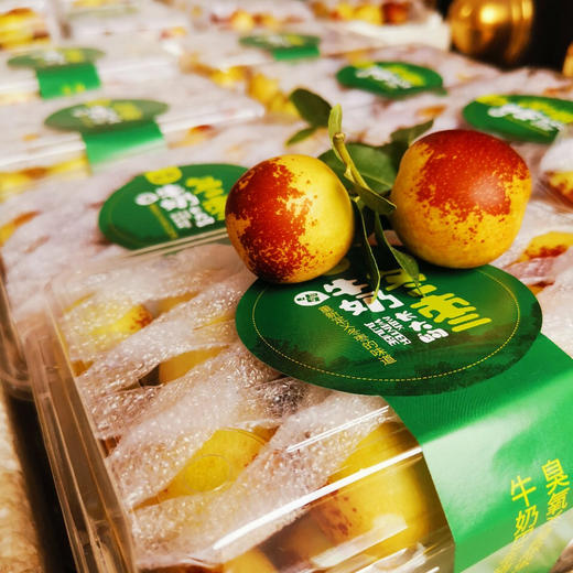 【预售】山西牛奶冬枣4斤礼盒装顺丰包邮【从陕西发货】