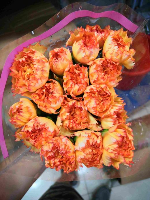 单头康乃馨DAN-黄底橘边-18-20支/扎 商品图0