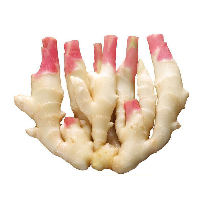 新生姜（嫩姜）500g