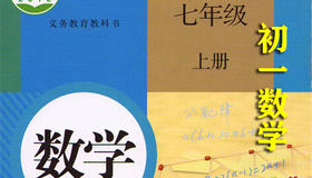 2.1整式的加减法-整式 下