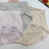 SUNJ2085 小雏菊内裤 莫代尔提花短裤 商品缩略图1