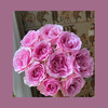 玫瑰— 娇兰 商品缩略图0