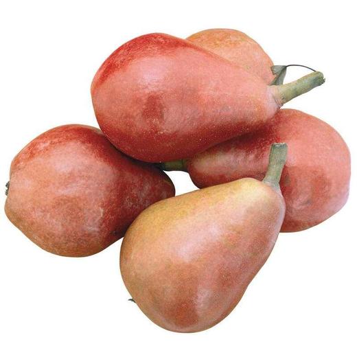 红茄梨(500克左右)