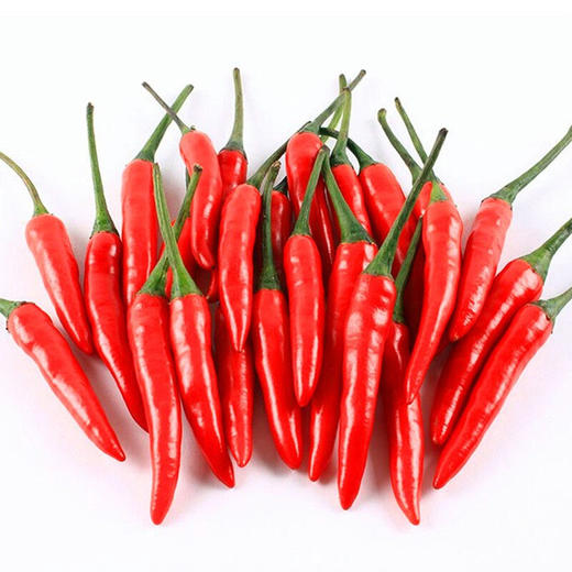 小米椒250g 商品图0