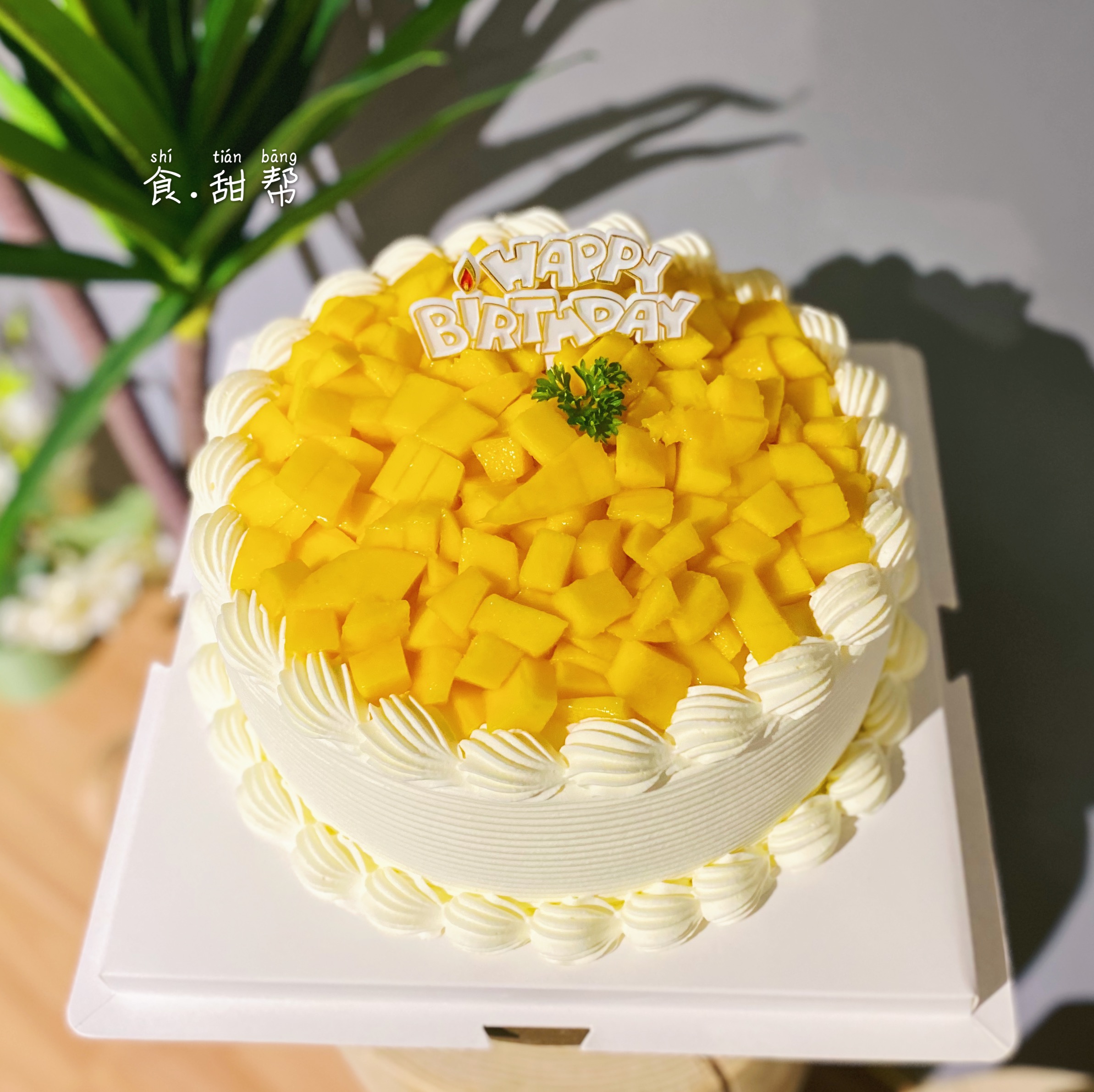 水果蛋糕-简洁版/12