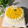 水果蛋糕-简洁版/12 商品缩略图0