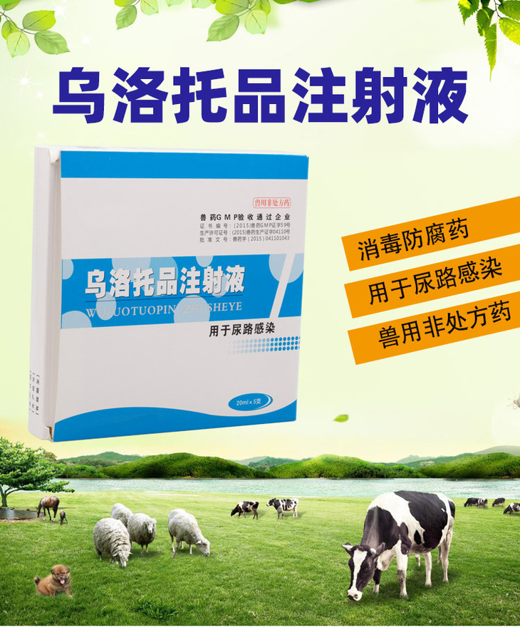 山西兆益烏洛托品注射液獸用豬牛羊犬消毒除臭尿毒炎尿路感染防腐藥