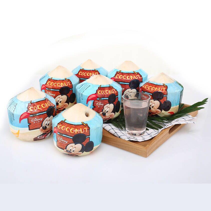 泰国进口迪士尼香水椰 椰青 椰子 1个