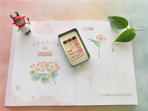 莳花弄草：清新风水彩植物插画入门  9787568057387 华中科技大学出版社 商品图5