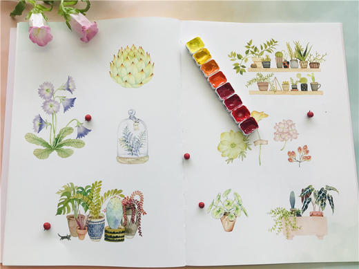 莳花弄草：清新风水彩植物插画入门  9787568057387 华中科技大学出版社 商品图12