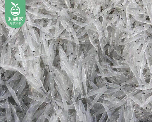 东山冰鲜小银鱼（250g±15g/盒） 商品图1