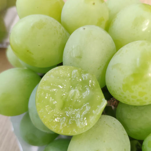 奶油葡萄182斤串3串546斤箱