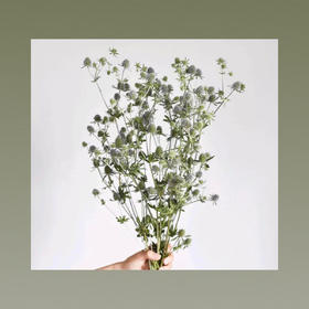 爱情果—小刺秦