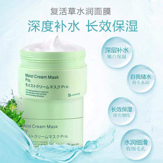 日本复活草面膜175g 商品图2
