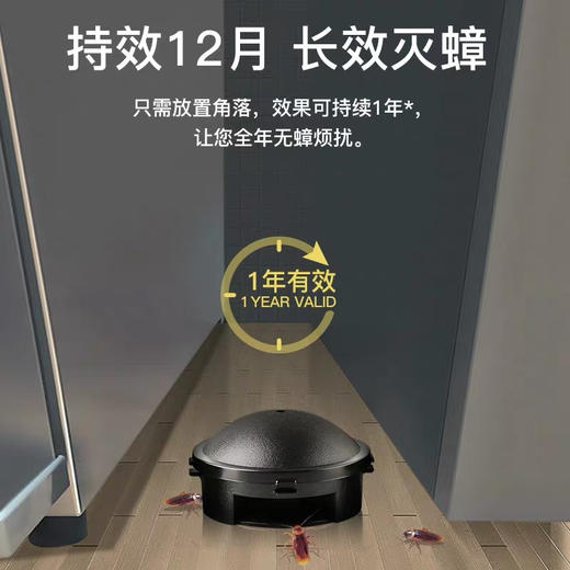 日本ARS安速蟑螂屋12枚装 商品图4