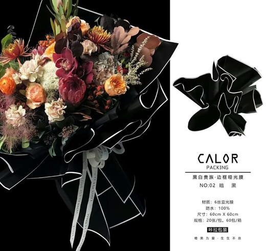 清明节--黑白贵族（加厚防水） 商品图3