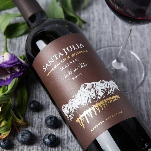 圣茱莉亚酿酒师珍藏马尔贝克红葡萄酒 2017x750ml  阿根廷 商品图2