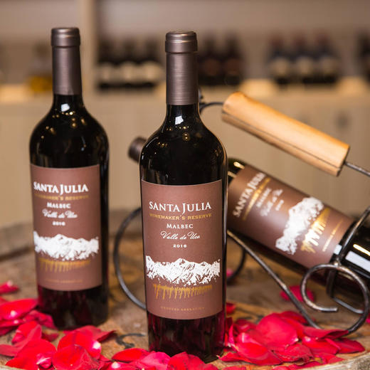圣茱莉亚酿酒师珍藏马尔贝克红葡萄酒 2017x750ml  阿根廷 商品图3
