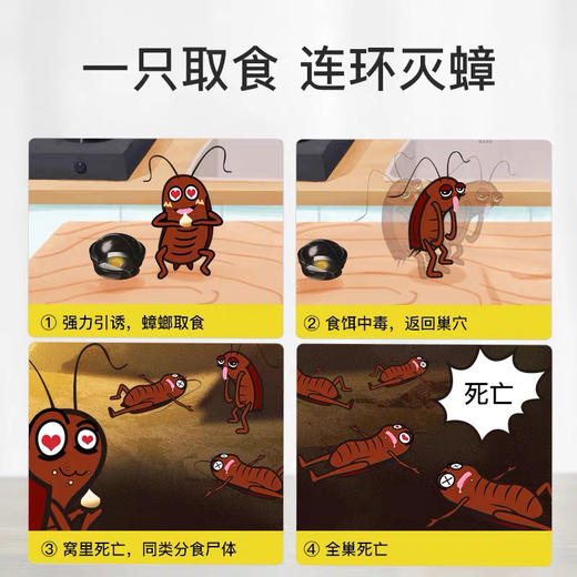 日本ARS安速蟑螂屋12枚装 商品图3