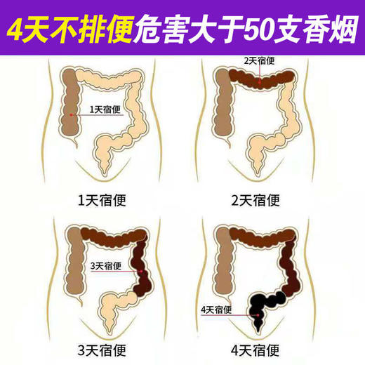 【买2送1】哈佰氏复合益生菌冻干粉  调节肠内菌群 守护肠胃健康  富含益生元 3g*30条 商品图4