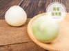 有机农场精选  有机白洋葱 400克 商品缩略图0