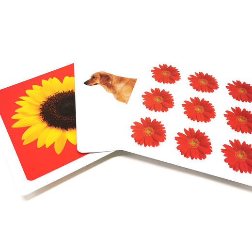 婴幼儿视觉激发卡（全4册） 商品图5