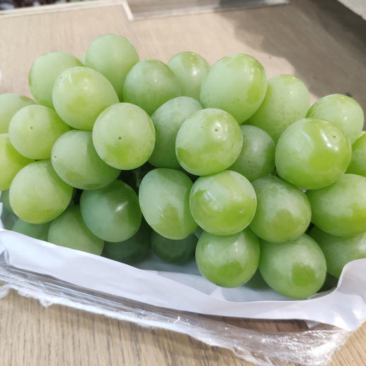 奶油葡萄182斤串3串546斤箱