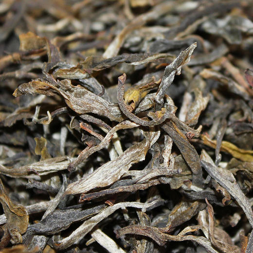 175     天门山●高杆古树茶●2020年春茶●未曾喝过天门山怎能轻言懂普洱！！！ 商品图3