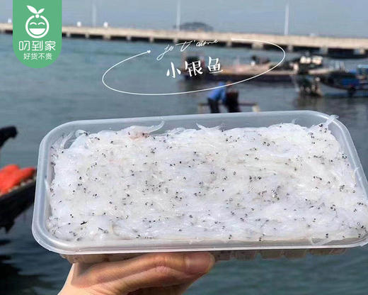 东山冰鲜小银鱼（250g±15g/盒） 商品图5