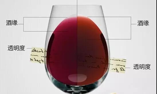 为什么喝酒前，大家都会45°观察葡萄酒？