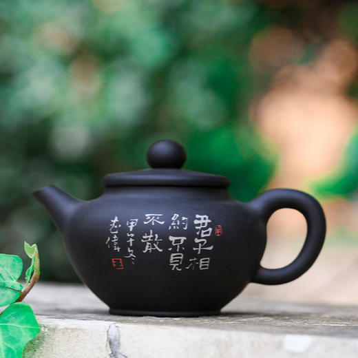 王志伟茶壶 商品图1